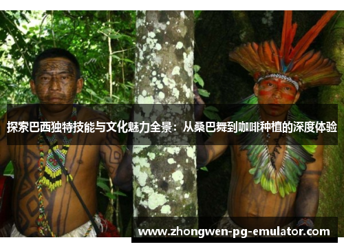 探索巴西独特技能与文化魅力全景：从桑巴舞到咖啡种植的深度体验