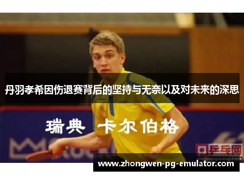 丹羽孝希因伤退赛背后的坚持与无奈以及对未来的深思