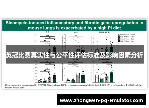 英冠比赛真实性与公平性评估标准及影响因素分析 英冠比赛真实性与公平性评估标准及影响因素分析